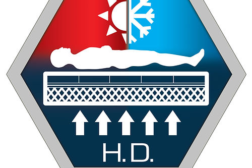 Digital Sleep Number Air Bed Gemini Mattress by Innomax